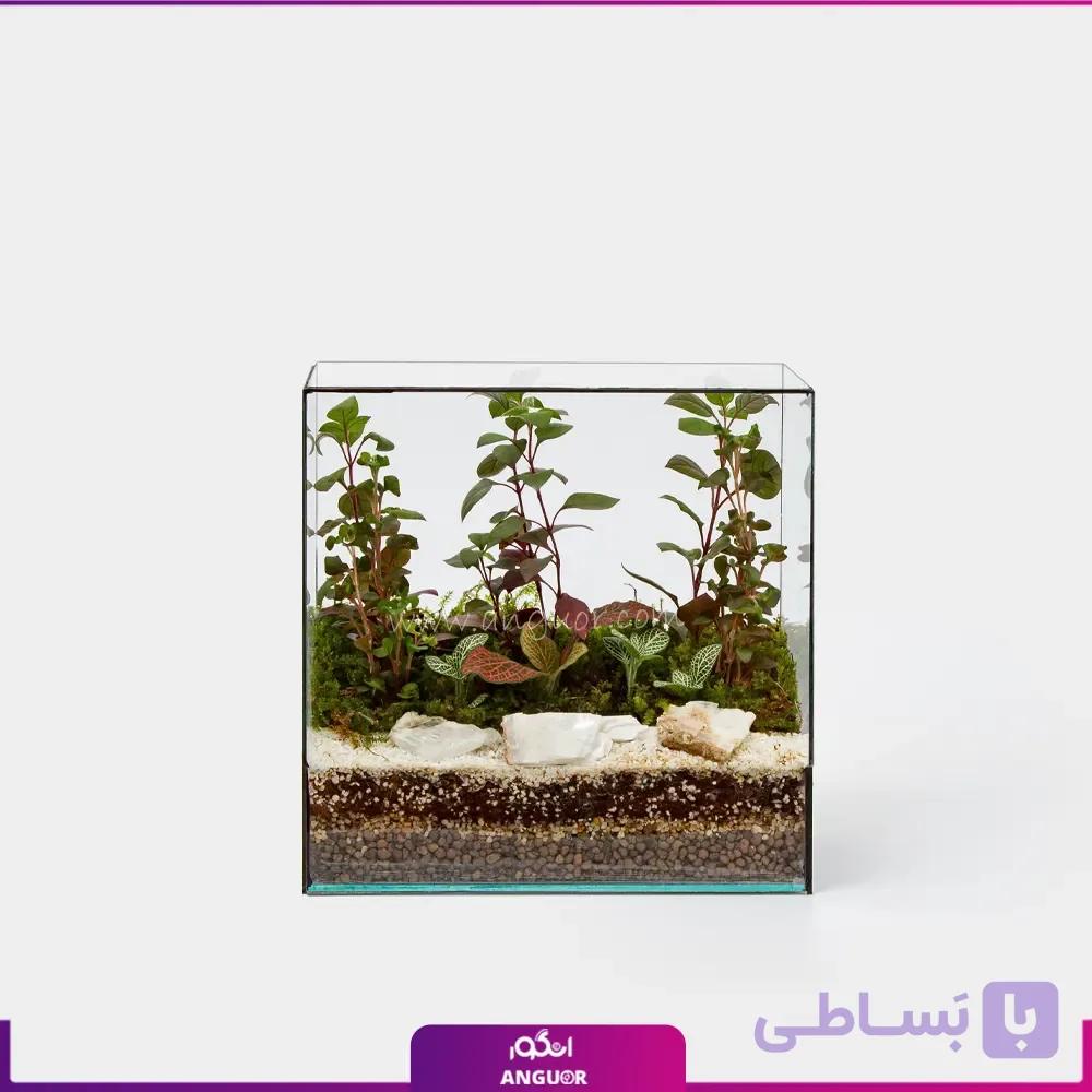 تراریوم کتابی
