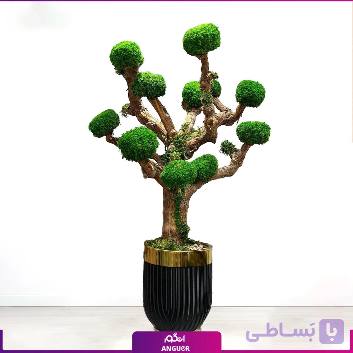 درخت جاودان سایز متوسط با گلدان فایبرگلاس
