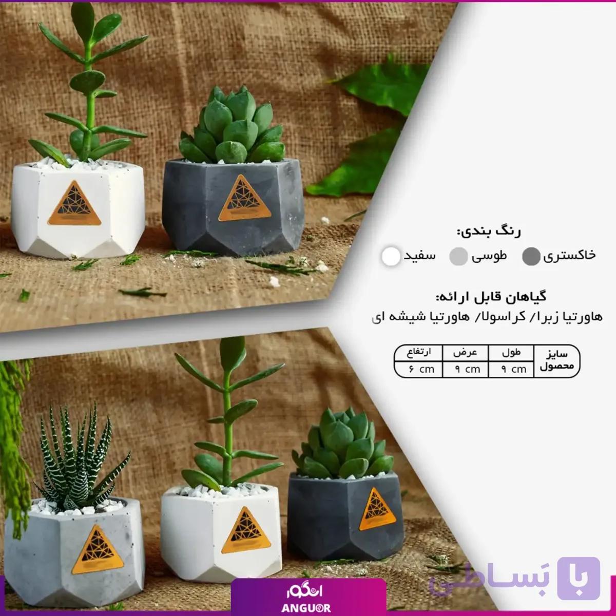 گلدان هدیه مینی (هدایای سازمانی و تبلیغاتی) — تصویر 1