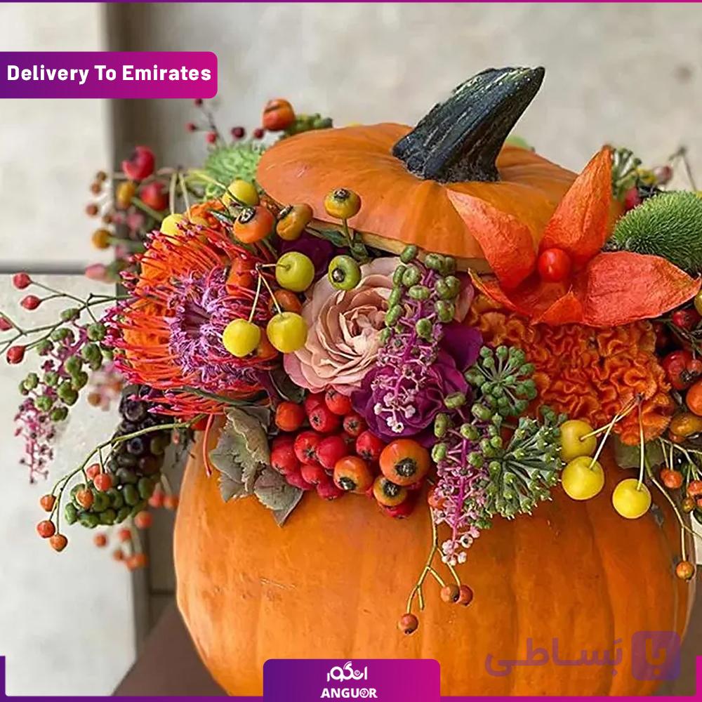 هدیه هالووین (تحویل در امارات)