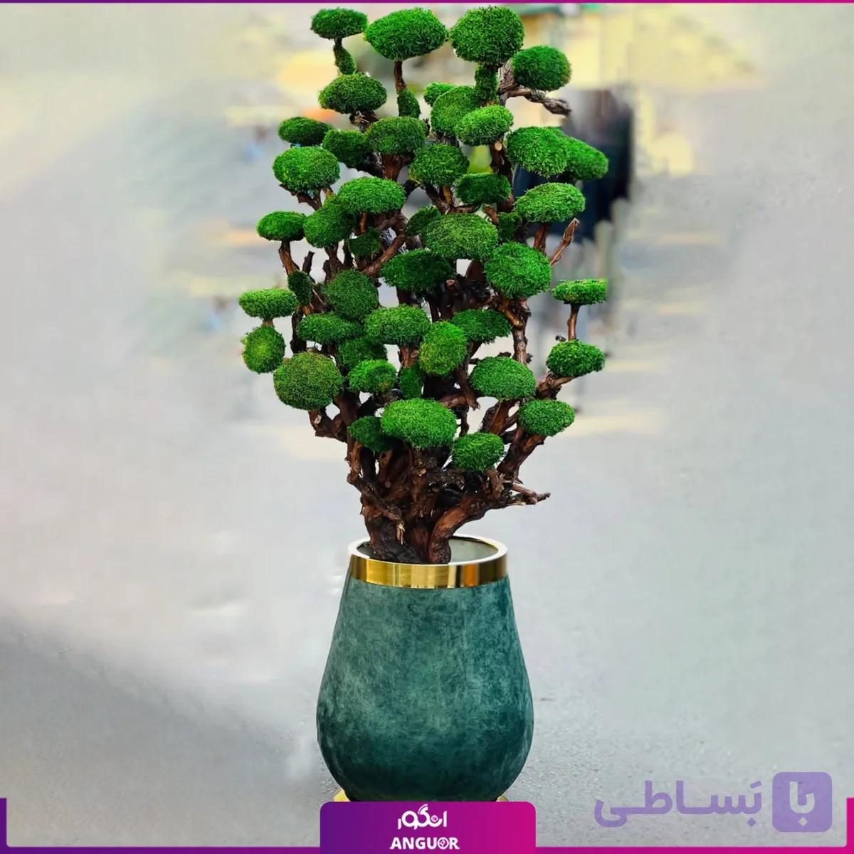 درخت جاودان با گلدان مخملی