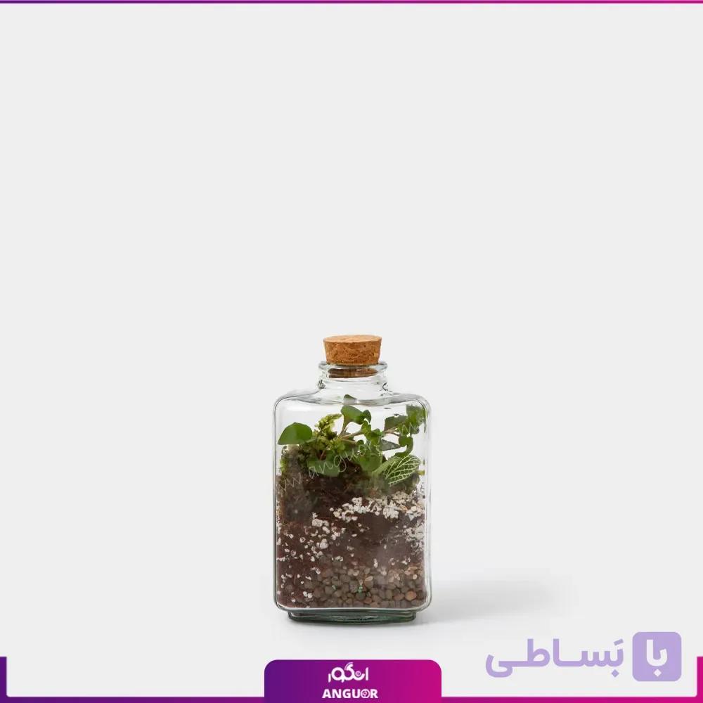 تراریوم سایز کوچک