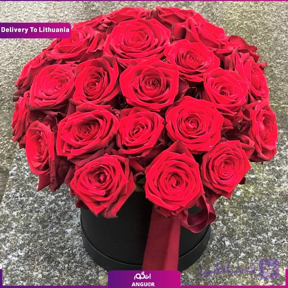 باکس گل 35 رز قرمز (تحویل در لیتوانی)