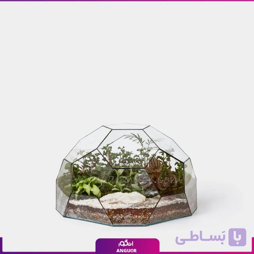 تراریوم چند بعدی