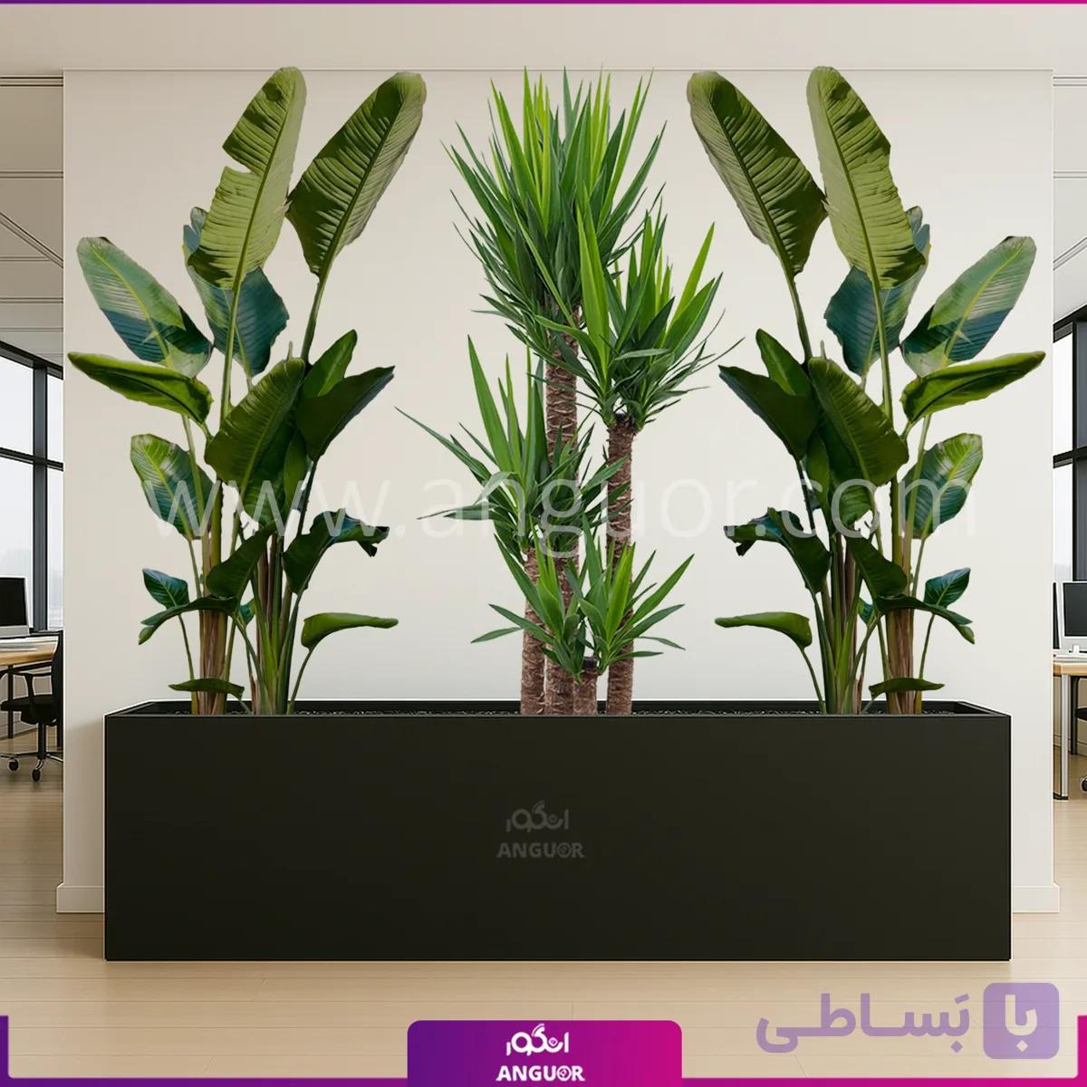 فلاور باکس با یوکا و نیکولای — تصویر 1