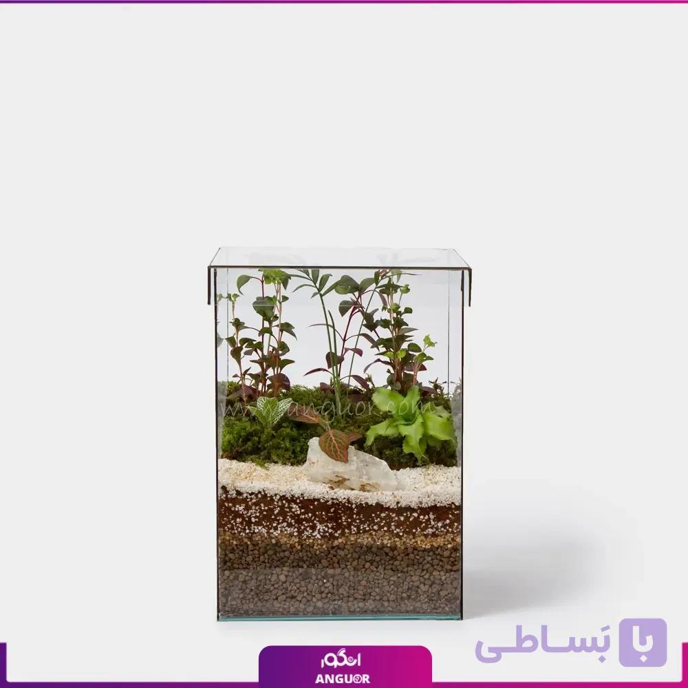 تراریوم چهار ضلعی به همراه درب