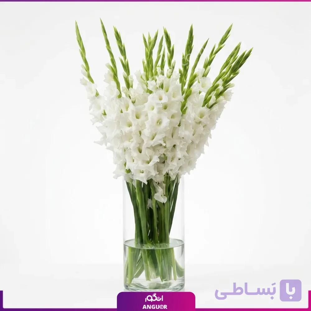 جار گل گلایول سفید