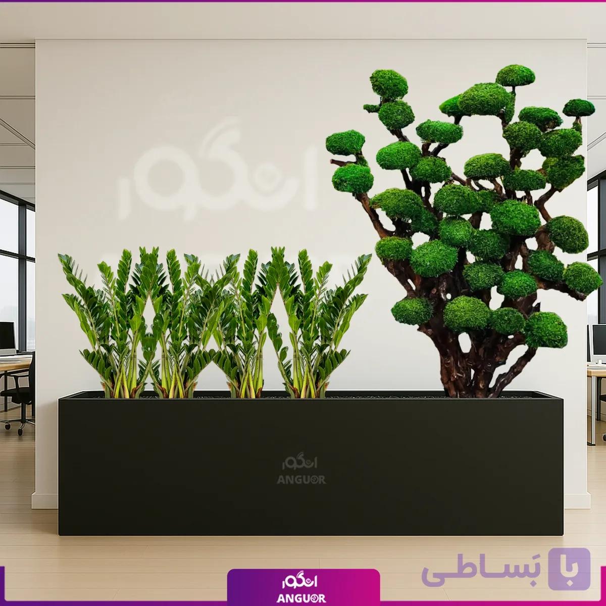 گلدان ترکیبی سانسوریا با درخت جاودان (مخصوص شرکت ها)