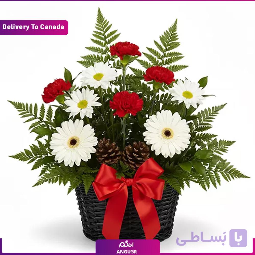 Christmas Joy Basket (ارسال گل به کانادا )