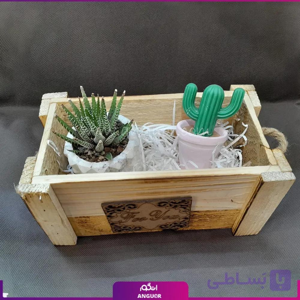 جعبه گل به همراه شمع کاکتوس — تصویر 1