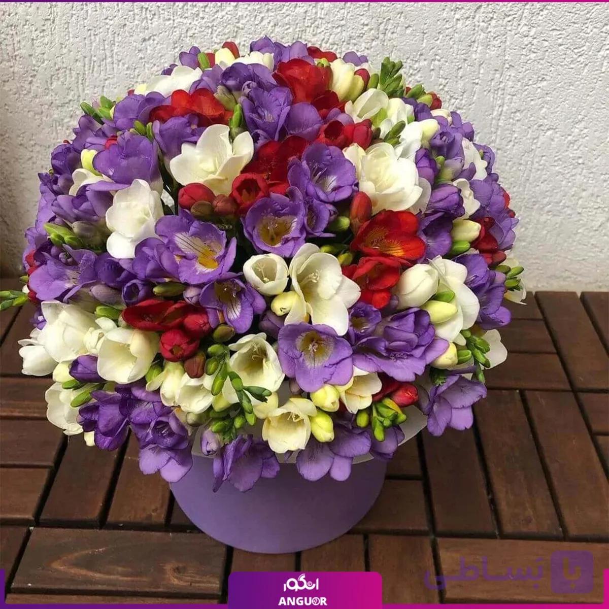 باکس گل فرزیا 70 شاخه — تصویر 1
