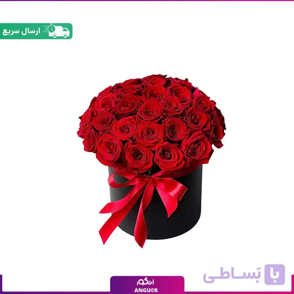 باکس 30 شاخه رز قرمز ممتاز (رز هلندی) — تصویر 1