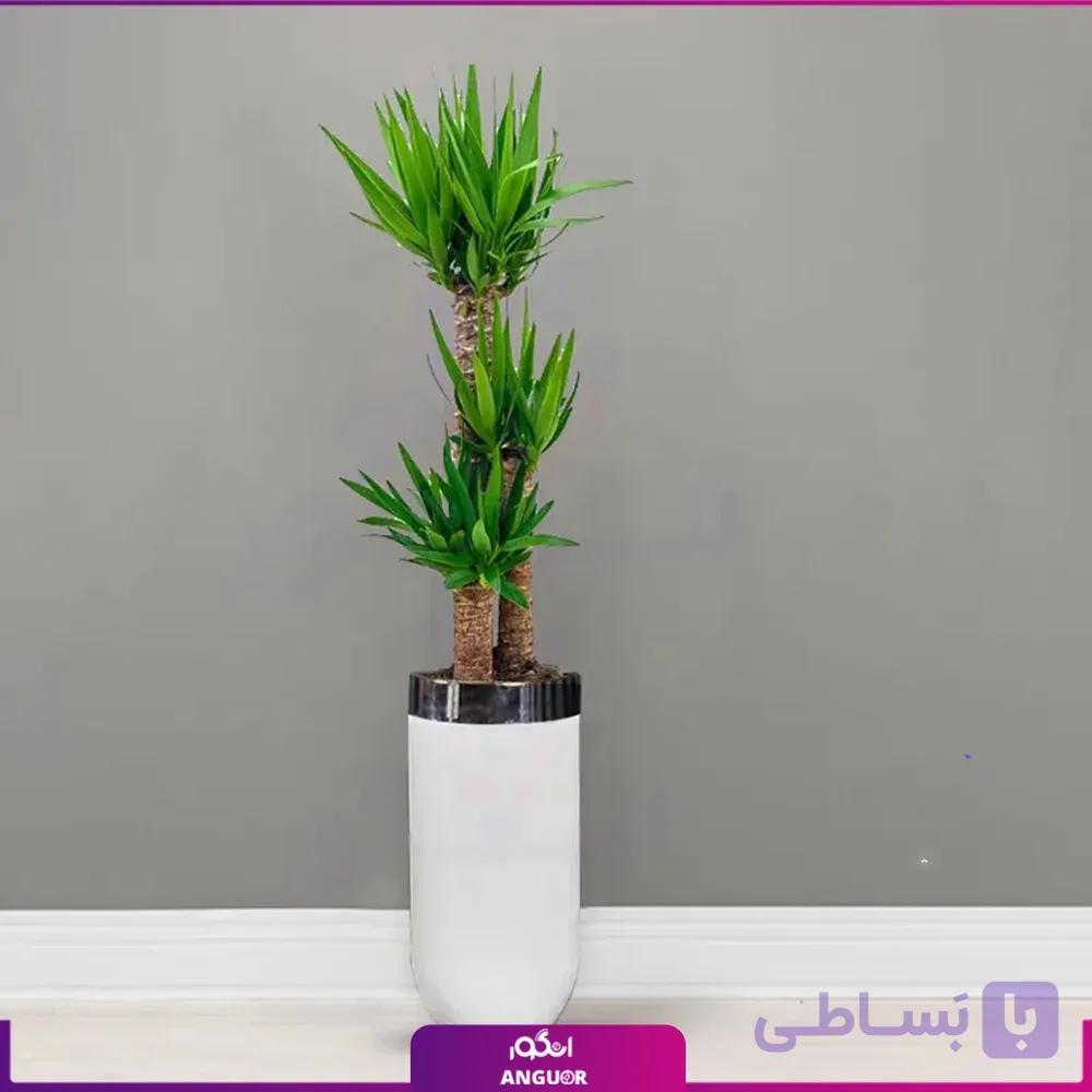 گلدان هدیه لوکس با یوکا سه شاخه بزرگ فایبرگلاس — تصویر 1
