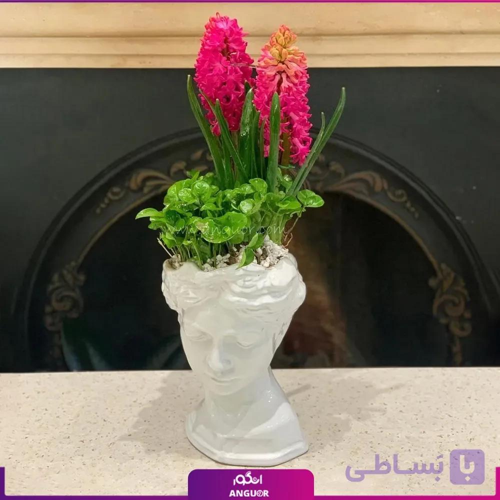 گل سنبل و بهارنارنج با گلدان طرح چهره