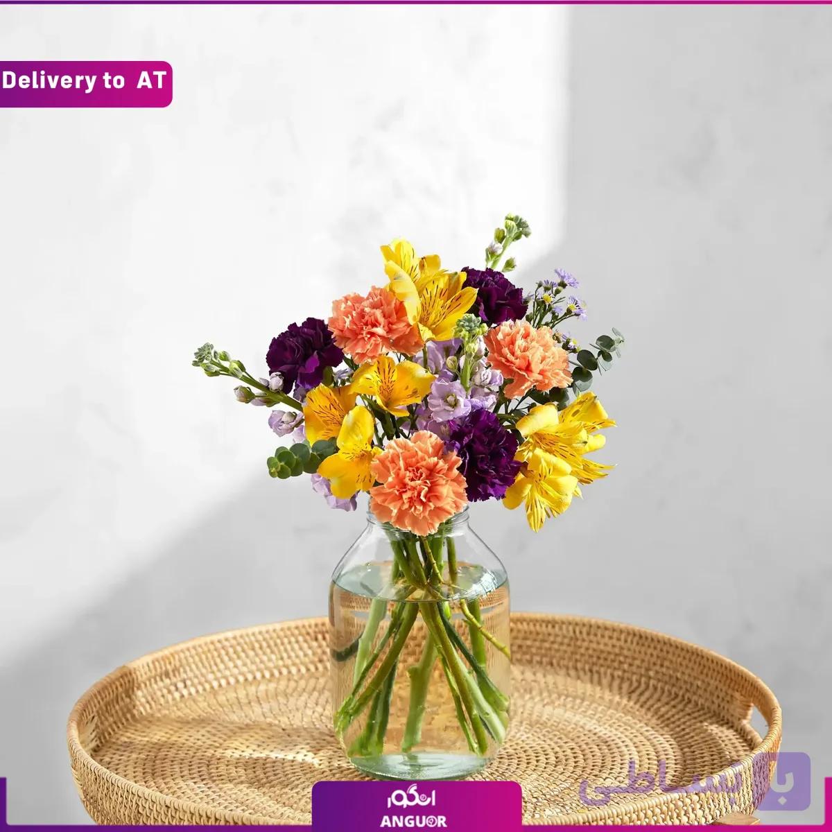 (Delivery to Austria) Elisa