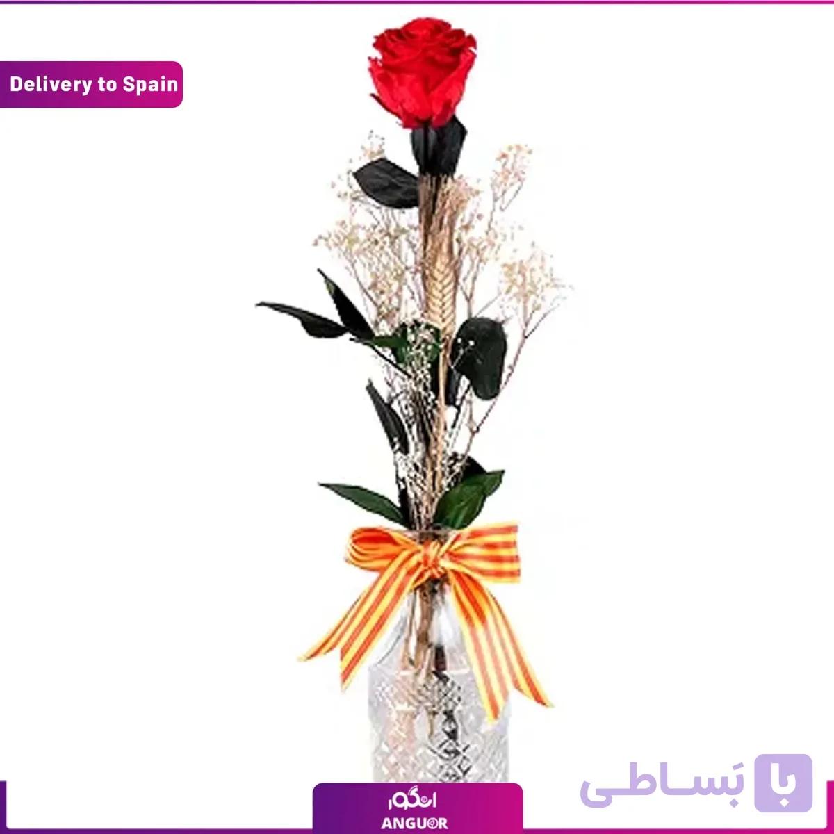 گل رز تک شاخه (تحویل در اسپانیا)