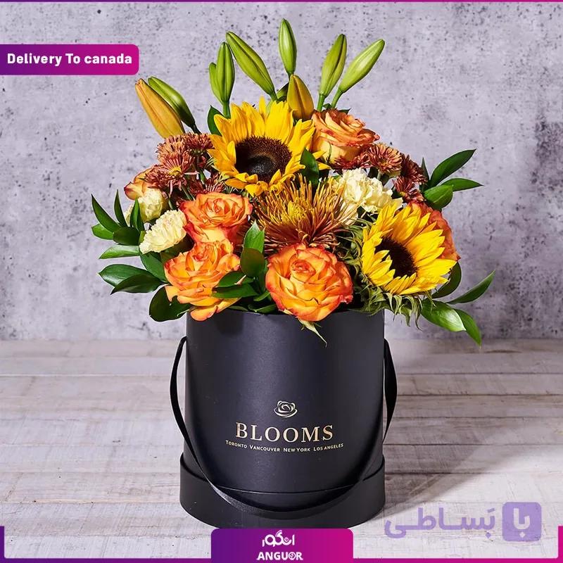 باکس گل زیبا (تحویل در کانادا)