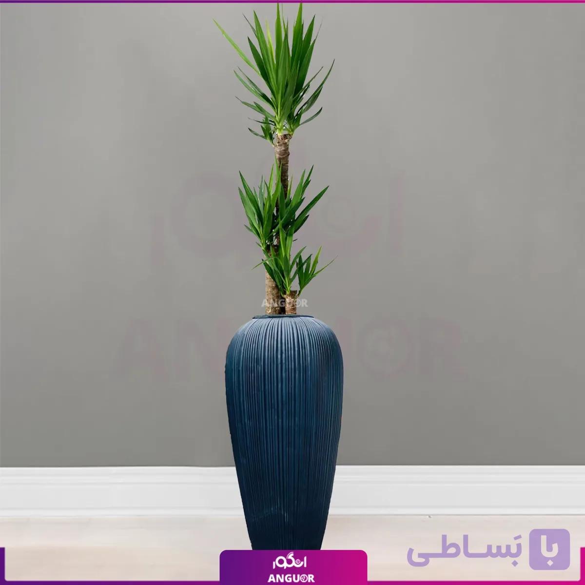 گلدان طرح جدید پاریس با یوکا — تصویر 1