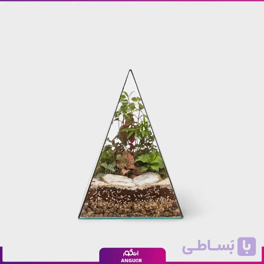 تراریوم هرمی
