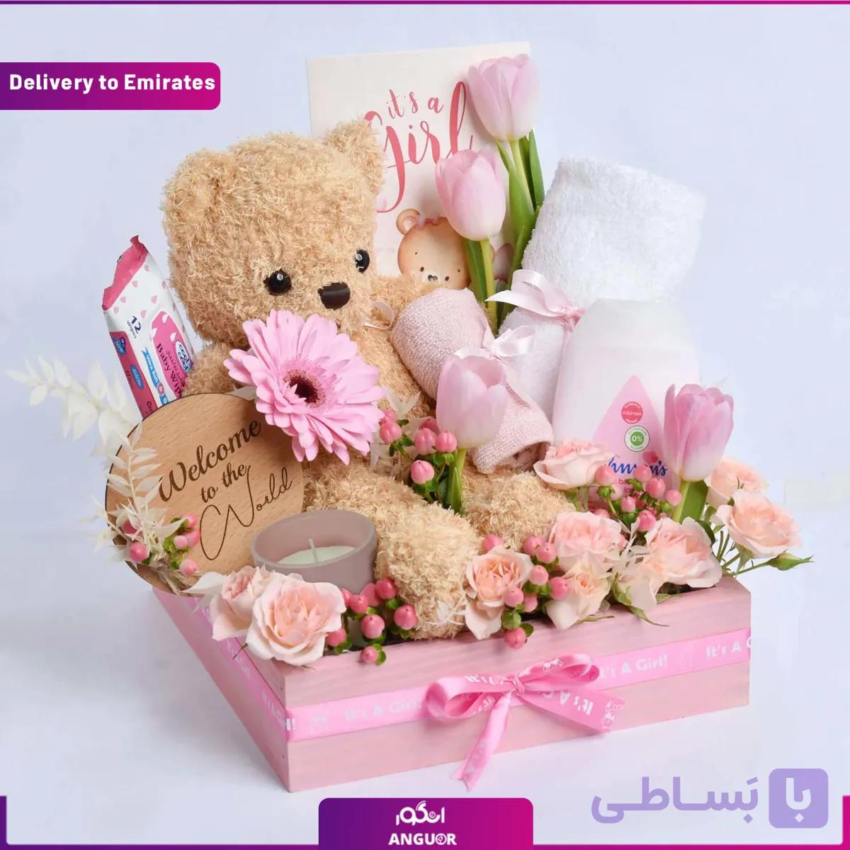 هدیه ویژه نوزاد (تحویل در امارات)
