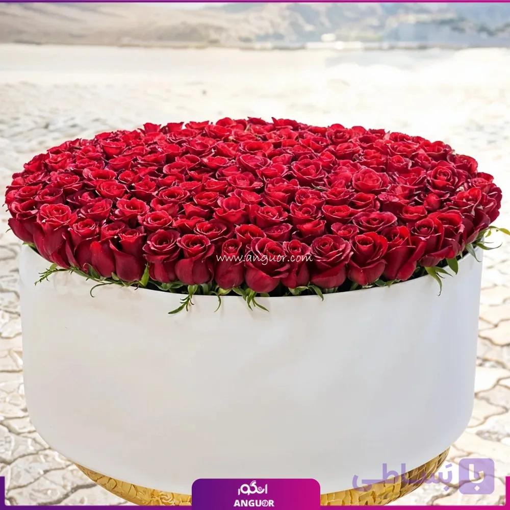باکس گل رز 300 ضربان عشق