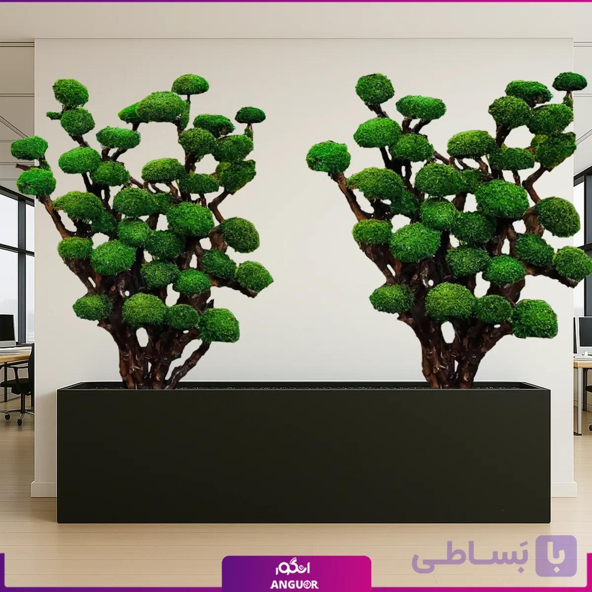 درخت جاودان با گلدان فلزی (مخصوص شرکت ها)