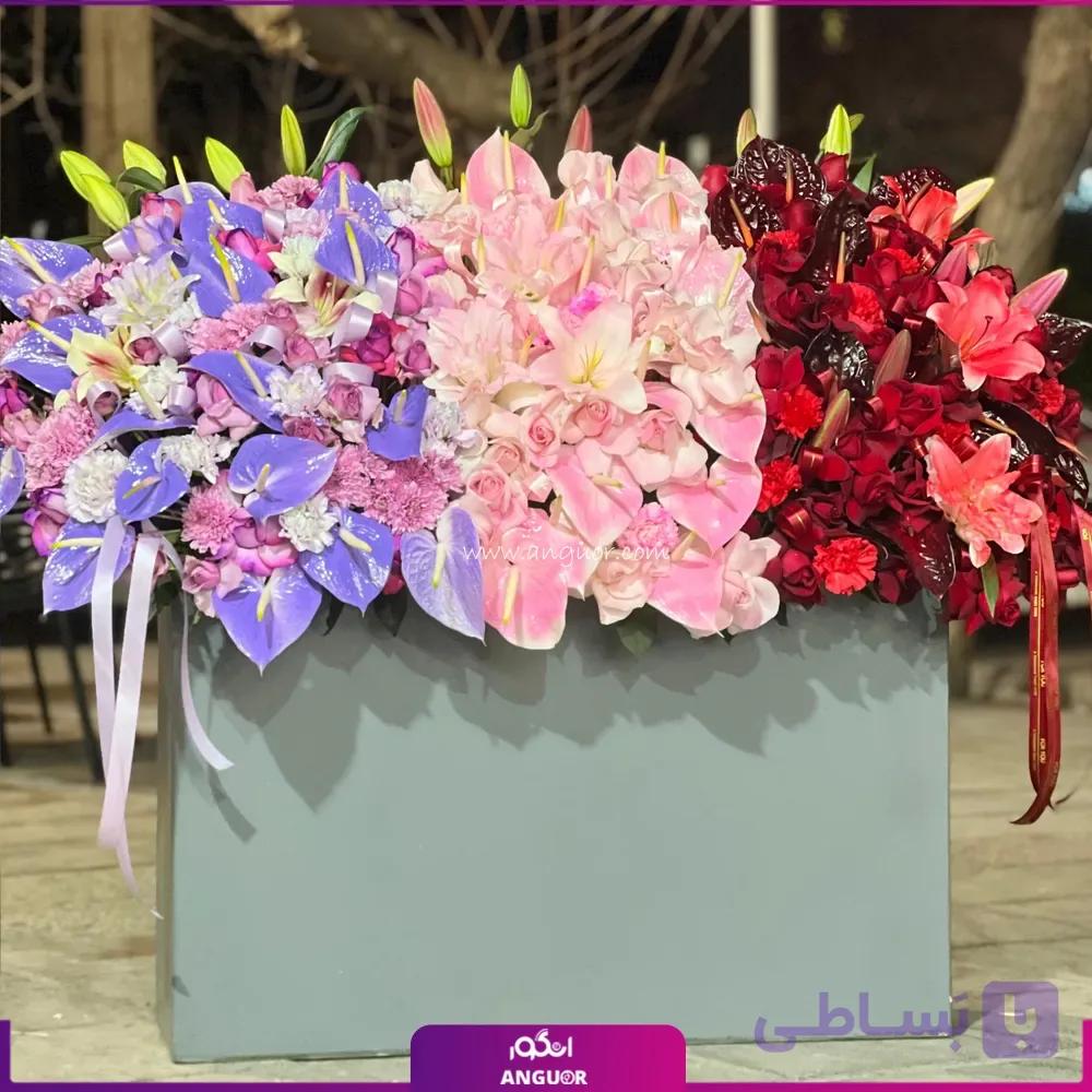 باکس گل رویال سه گانه