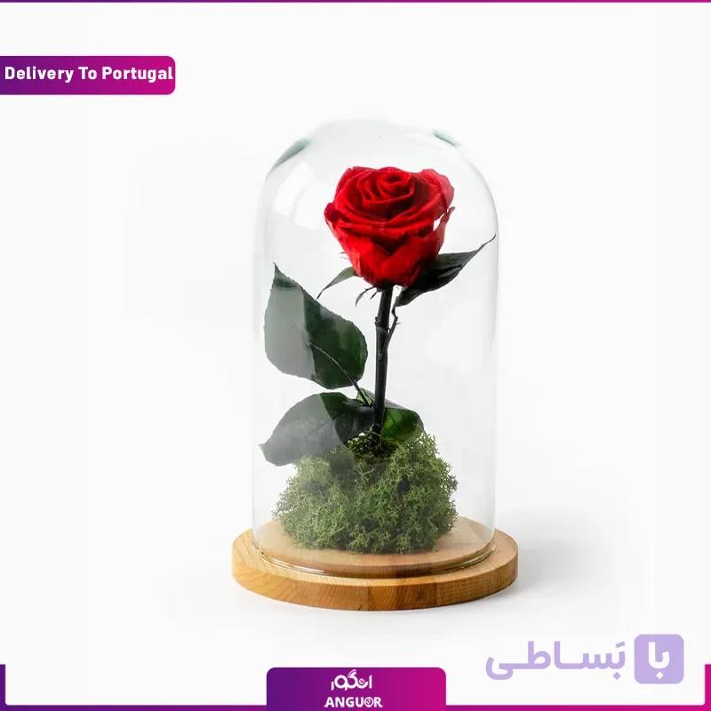 رز جاودان قرمز (تحویل در پرتغال)