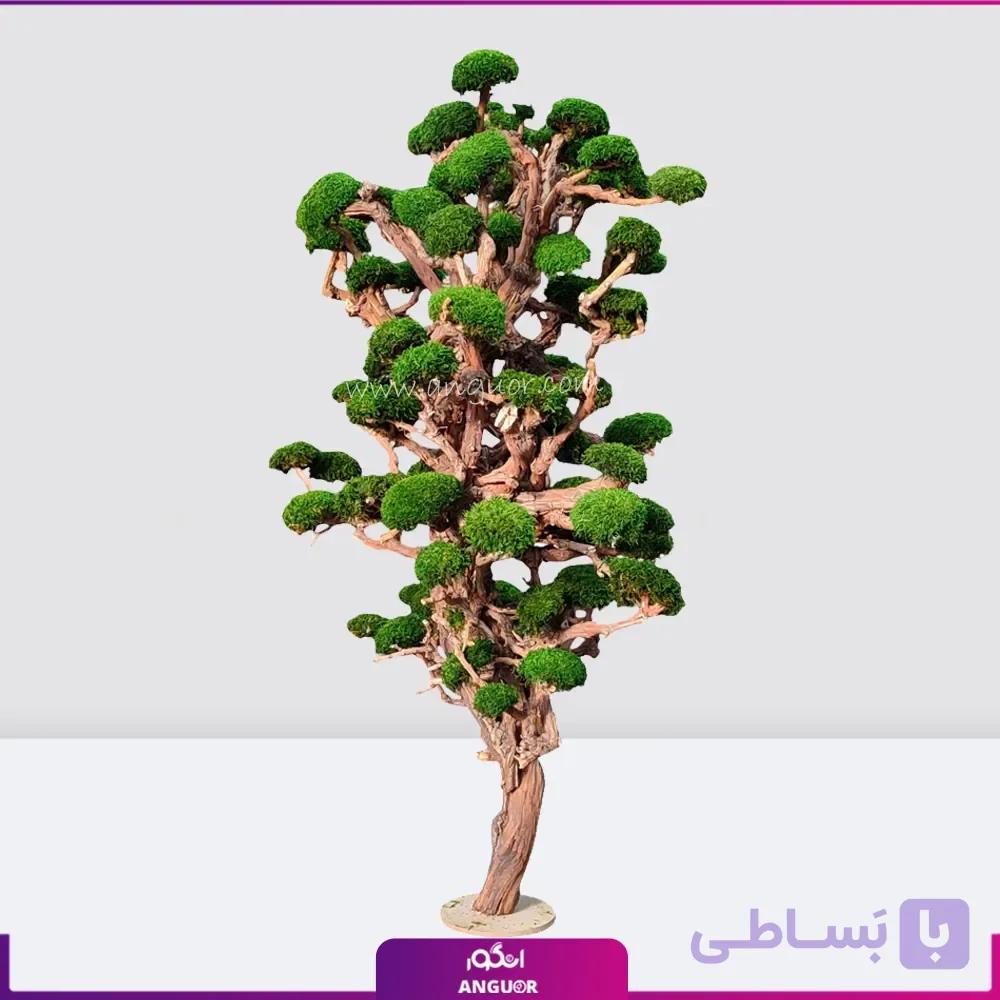 درخت جاودان رشد بی پایان