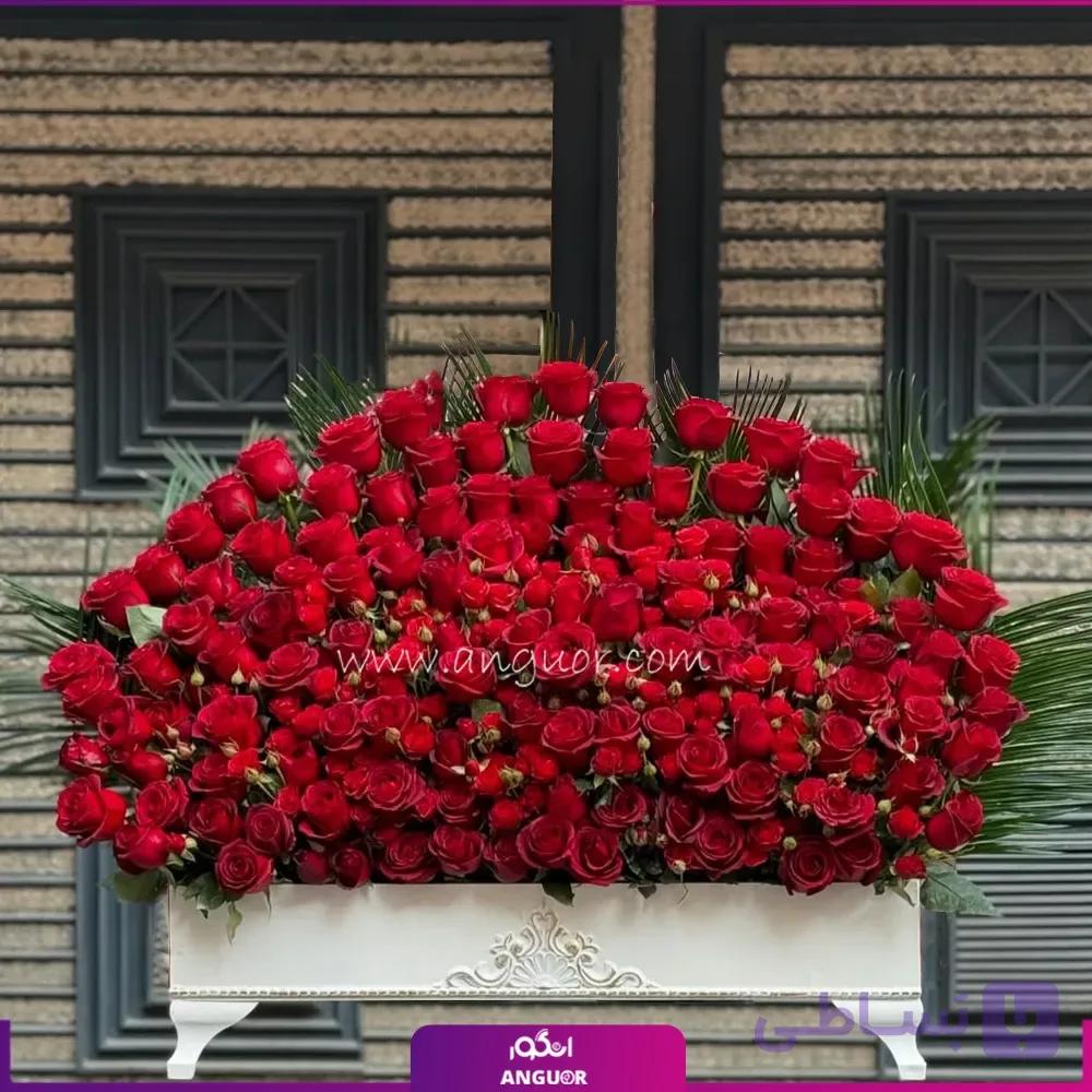 باکس گل رز قرمز لاکچری (24 شاخه)