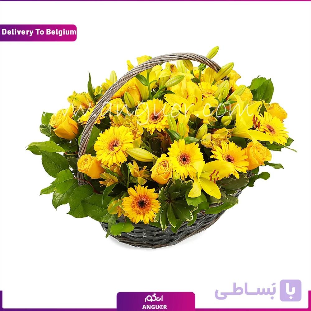 سبد گل تم زرد (تحویل در بلژیک)