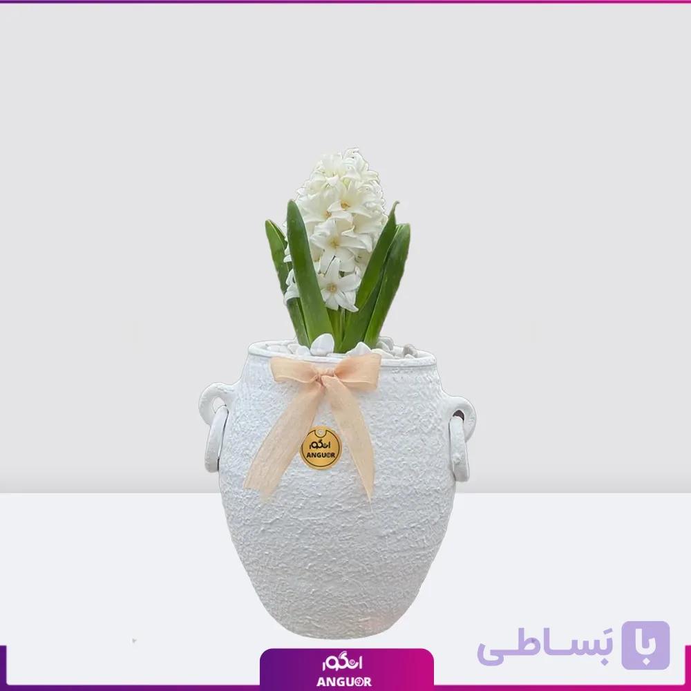 گل سنبل با گلدان پتینه سفید