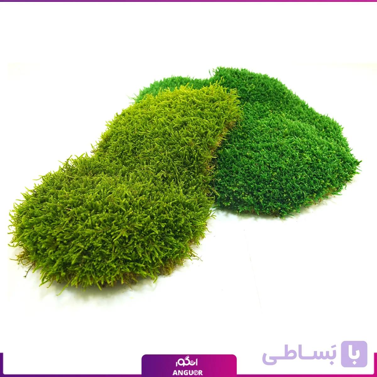 خزه‌ شیت تثبیت شده (1 متری) — تصویر 1