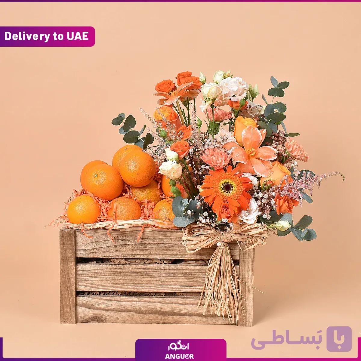 باکس آرزوی سلامتی (دبی و امارات) — تصویر 1