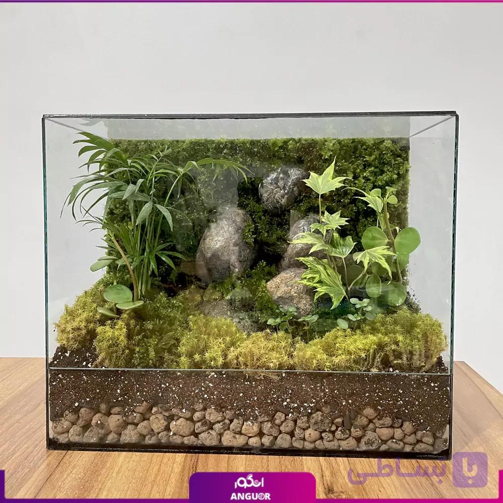 تراریوم VIP صخره‌ای — تصویر 1