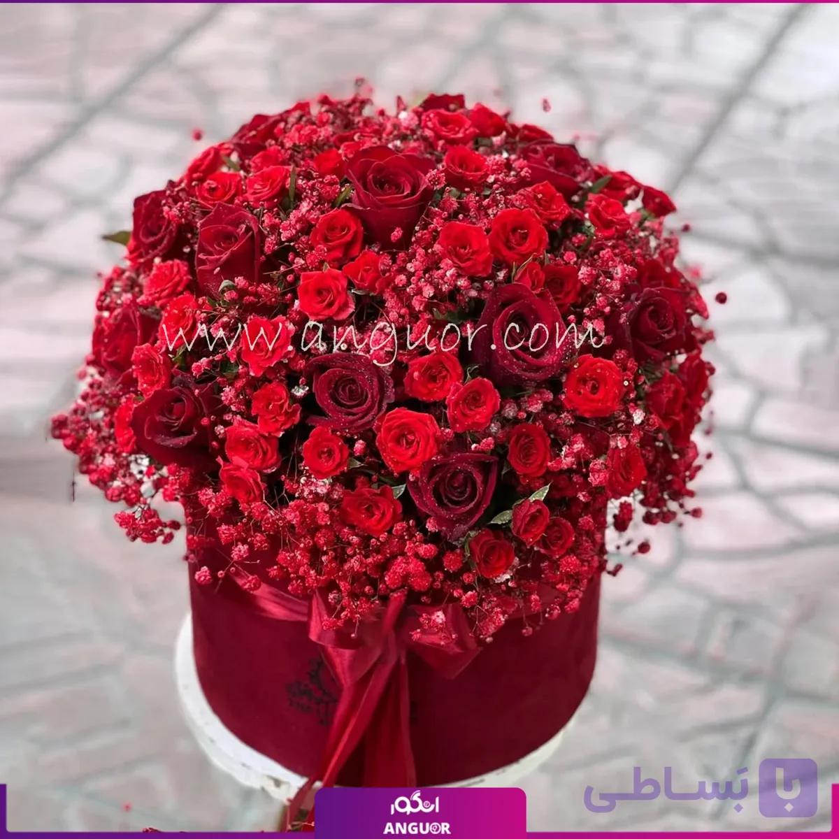 15 شاخه گل رز میناتوری در باکس گرد با تم قرمز