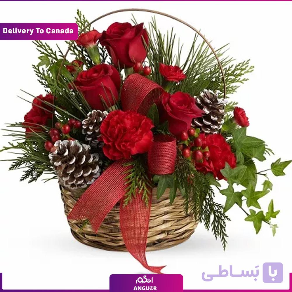 Christmas Glory (ارسال گل به کانادا)