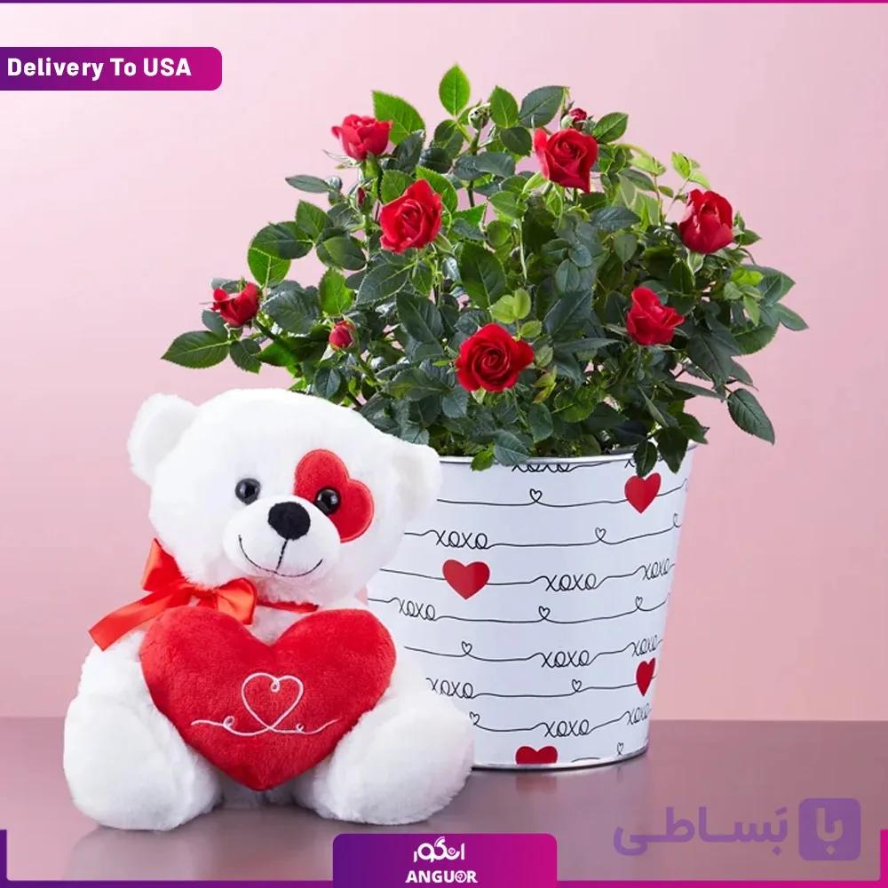 گلدان رز عاشقانه همراه با خرس رومئو (تحویل در امریکا)