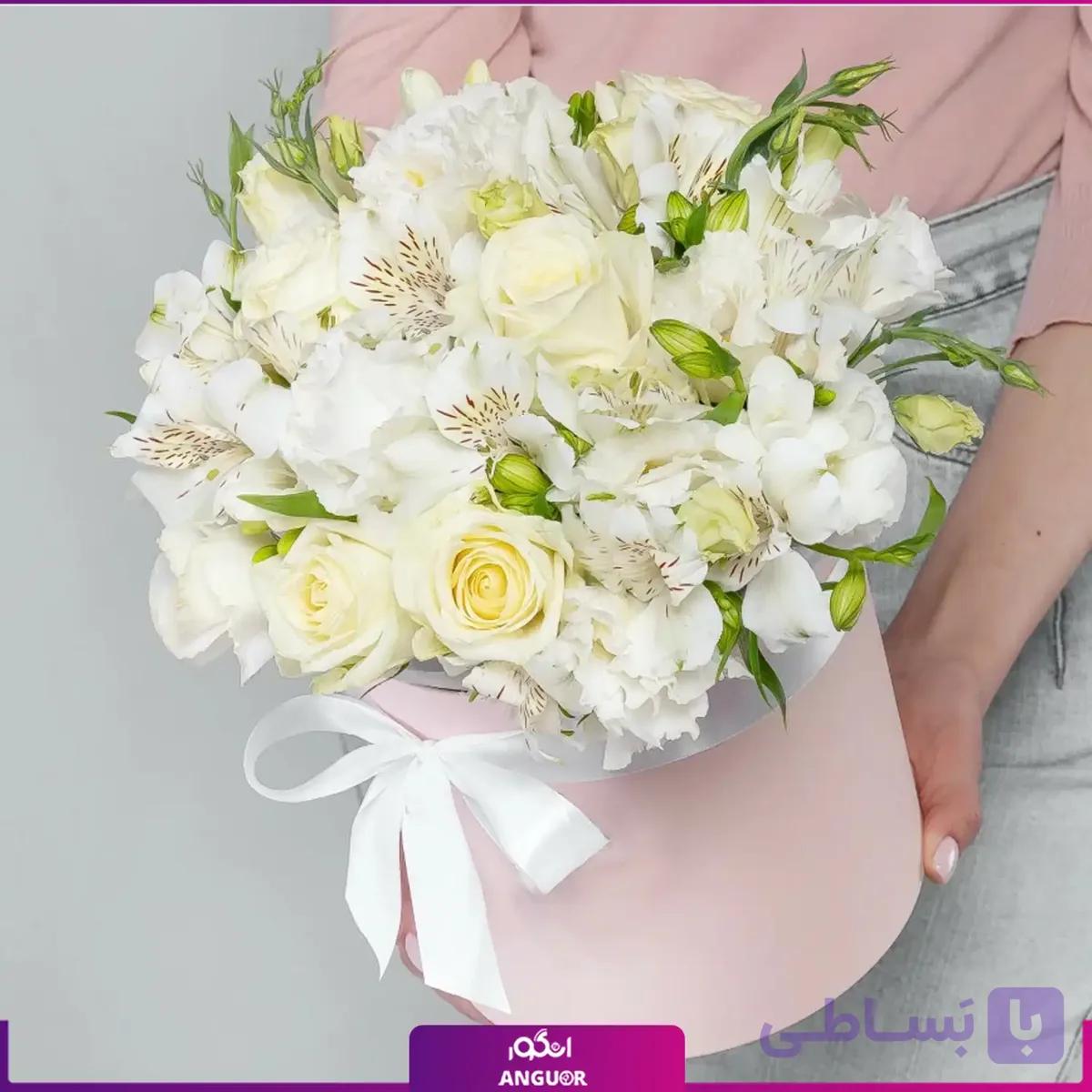 باکس گل رز، آلستر و لیسیانتوس — تصویر 1