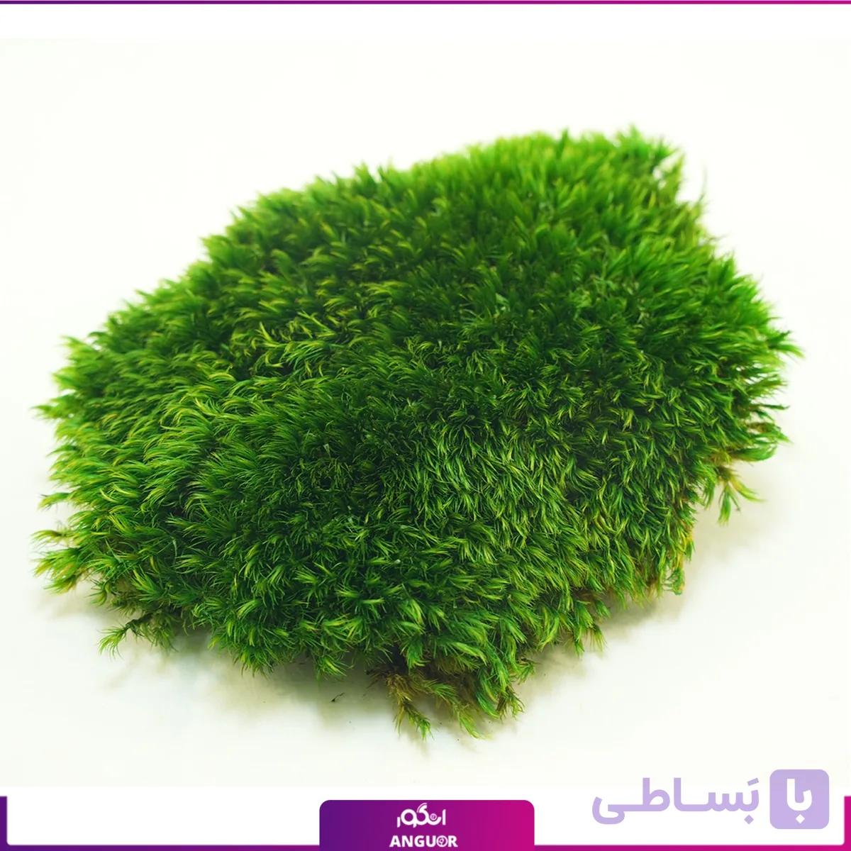 مود ماس تثبیت شده (1 متری) — تصویر 1
