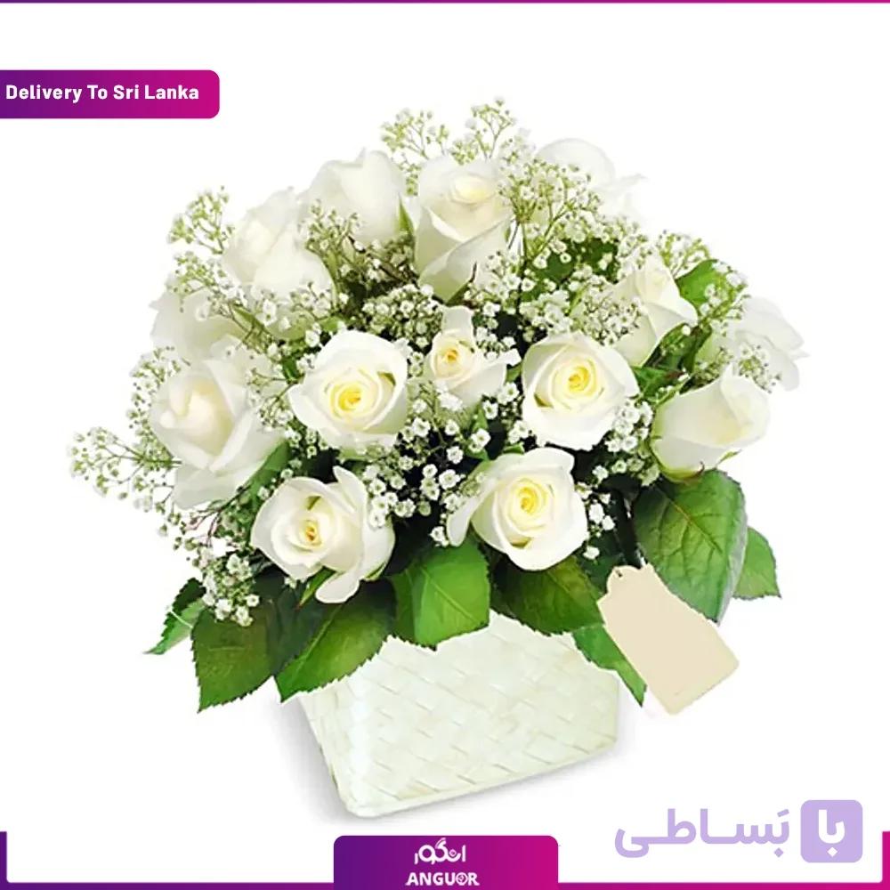 (Delivery in Sri Lanka) Pot Of White Roses