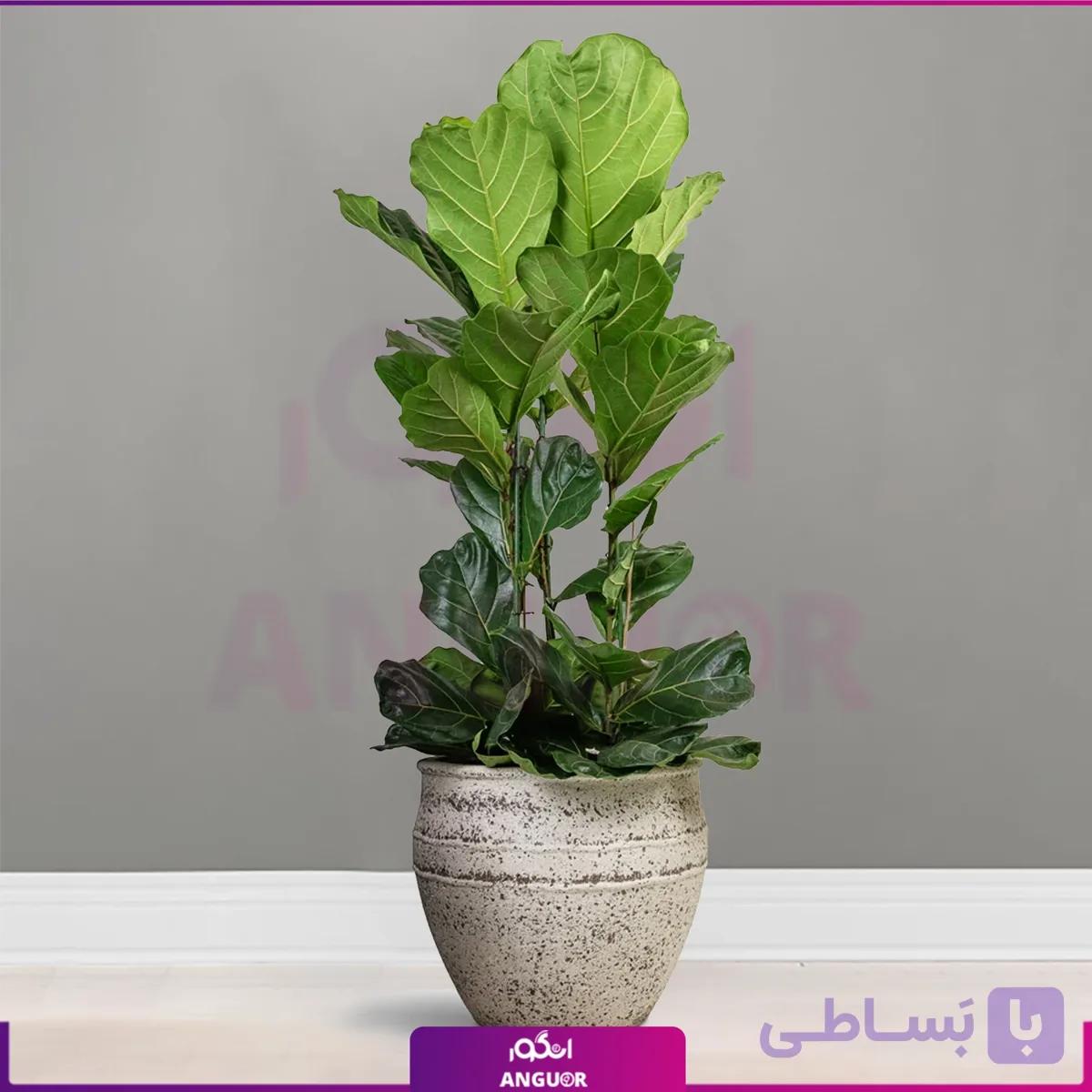 لیراتا سه شاخه با گلدان طرح مصری — تصویر 1