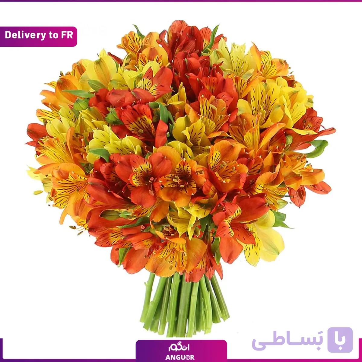 Flamboyant Alstroemerias (Delivery to France)