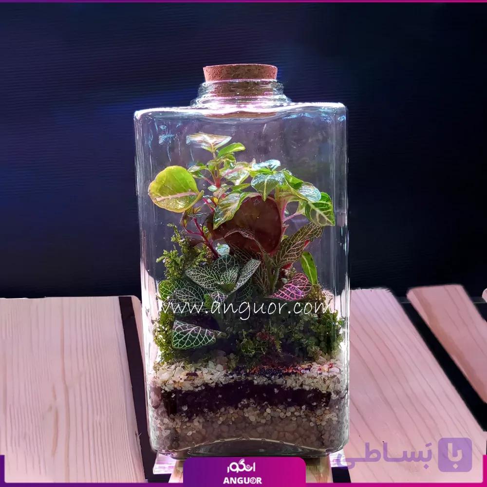 تراریوم طرح مثلثی — تصویر 1