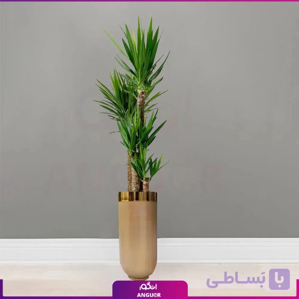 گلدان خاص فایبرگلاس با یوکا چهار شاخه بزرگ نیم‌رخ — تصویر 1
