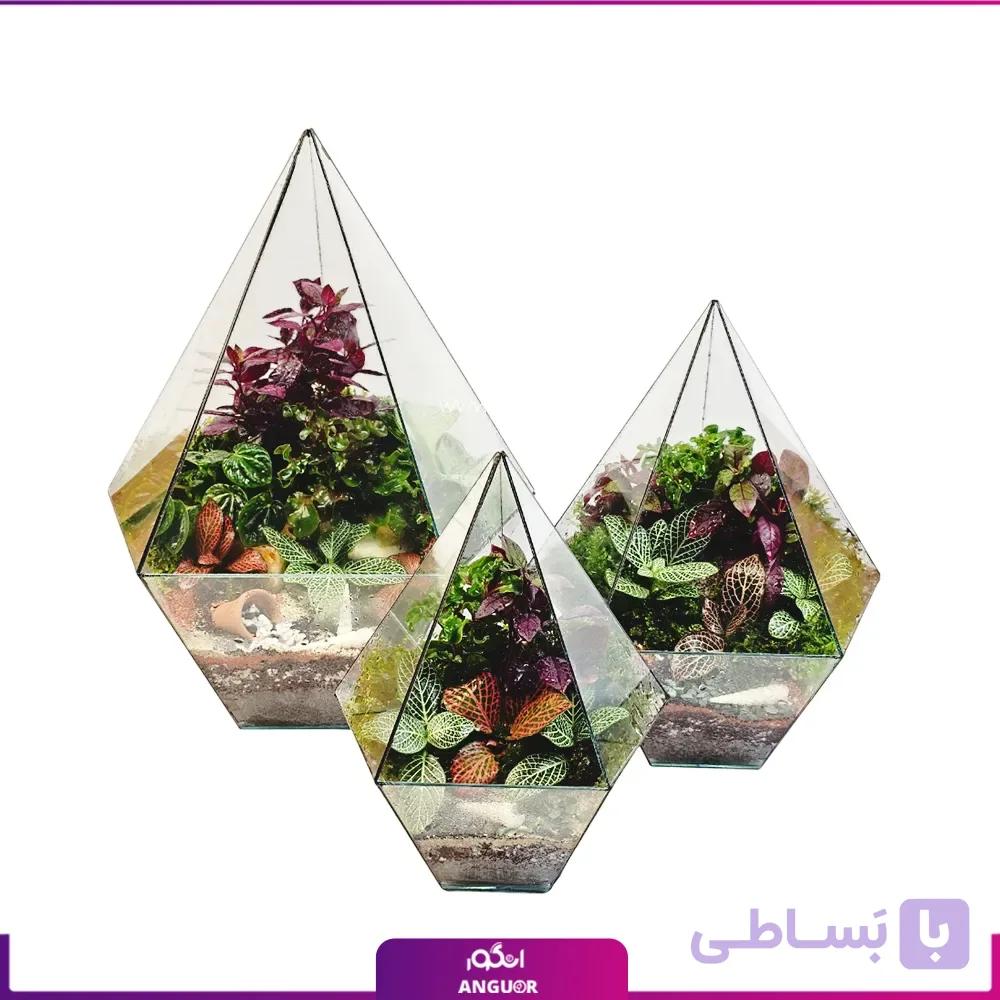 تراریوم شیشه ای مثلثی فمیلی