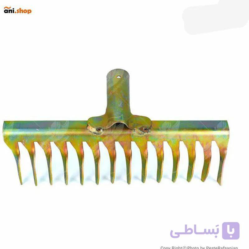 شن کش طلایی