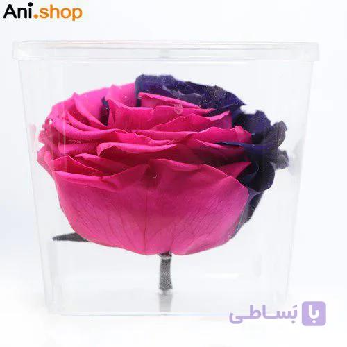 رز همیشه جاودان کد 281