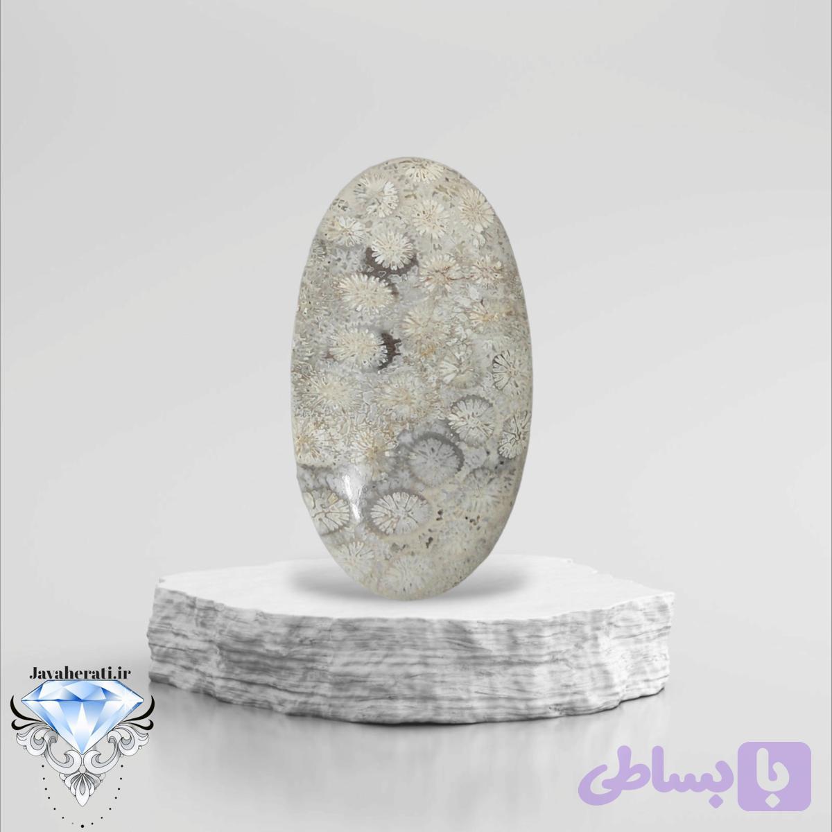 نگین فسیل سنگی مرجان