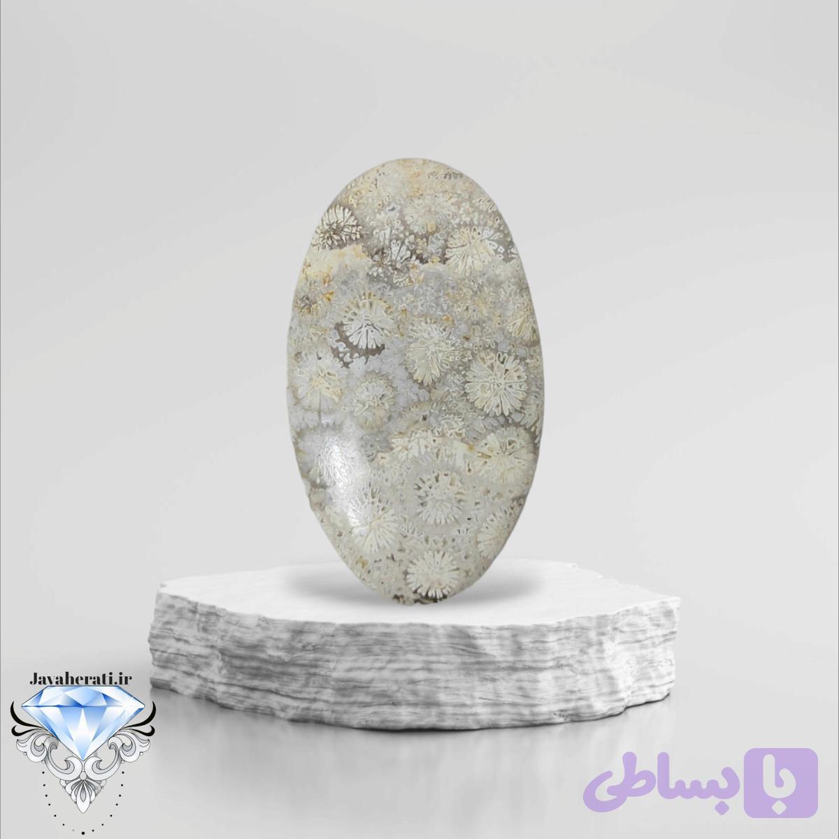 نگین فسیل مرجان بیضی